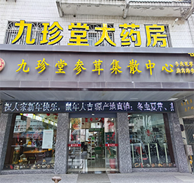 2019年8月，777盛世国际集团与常州九珍堂大药房有限公司签署收购协议。2020年3月1日，777盛世国际集团全面接手常州九珍堂大药房的经营和管理权，标志着777盛世国际集团正式进军医药、滋补养生和医疗器械领域。