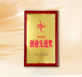 月14日，在2025年湖塘镇企业发展大会中，常州777盛世国际商业管理有限公司荣获“2024年度创业先进奖”。